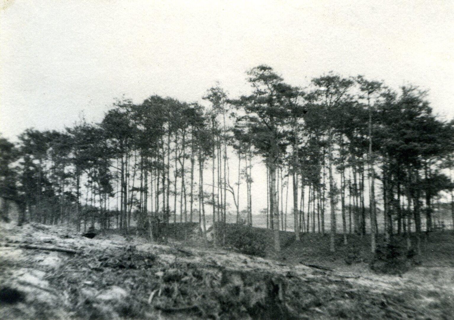 Kersouwe 80 jaar!