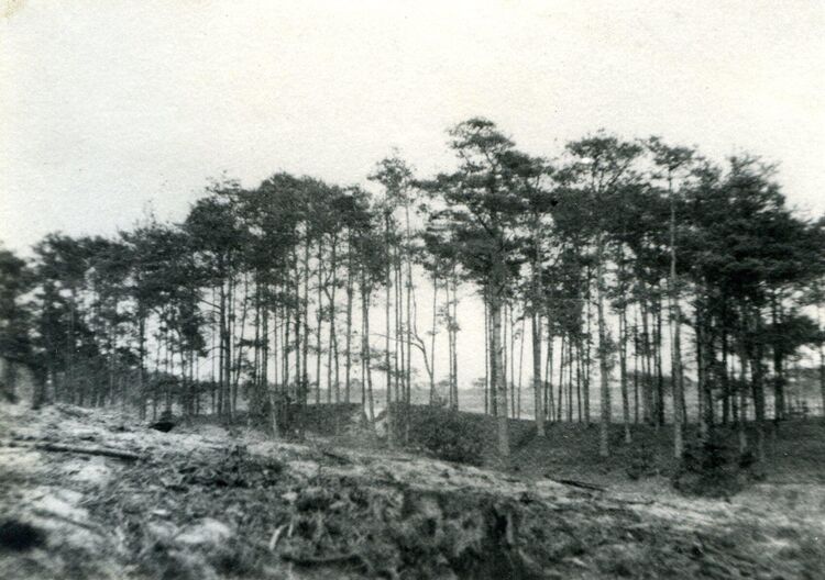 Theatergroep Algemeen